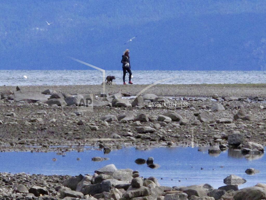 Scott Sonner A woman walks with her dog on the dry lake bed that extends 200 yards from Lake Tahoe's normal shoreline Wednesday, Oct. 20, 2021 at Tahoe City, Calif. Drought fueled by climate change has dropped Lake Tahoe below its natural rim and halted flows into the Truckee River, an historically cyclical event that's occurring sooner and more often than it used to _ raising fears about what might be in store for the famed alpine lake. (AP Photo/Scott Sonner).