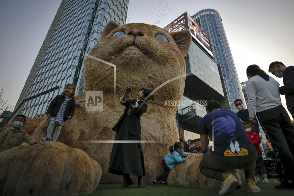 A woman takes a selfie as visitors wearing face masks to help curb the spread of the coronavirus gather near a giant cat structure on display at a commercial office building in Beijing, Sunday, Oct. 18, 2020. (AP Photo/Andy Wong)