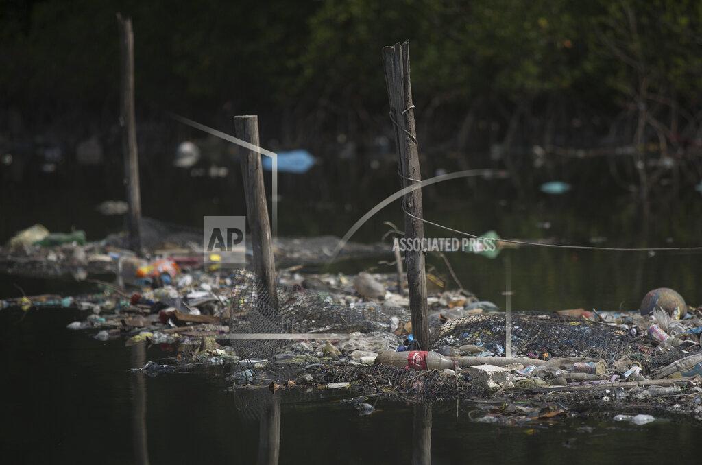Brazil Polluted Bay Brazil Polluted Bay
