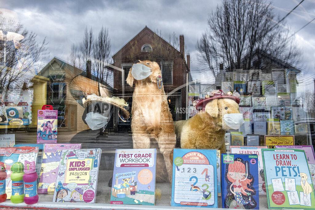 Three plush dogs wearing face masks sit in the window display of The Tribune bookstore in Norway, Me., on Sunday, May 10, 2020, reflecting the quiet streets (Andree Kehn/Sun Journal via AP)