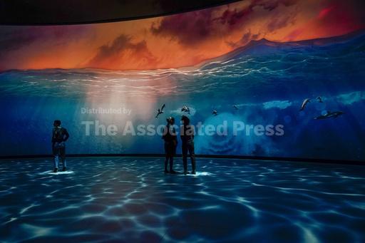 Ants march, whales swoop in Museum of Natural History u... - Vimarsana News