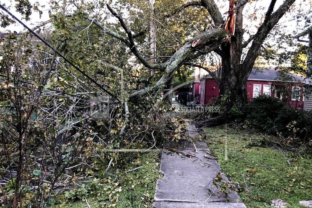 Kevin Mcgil A large tree limb, which snapped as Hurricane Zeta moved through New Orleans, rests on power lines in the city's Carrollton neighborhood on Thursday, Oct. 29, 2020. (AP Photo/Kevin McGill)