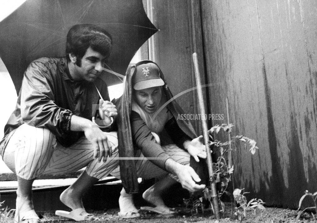 Harry Harris FILE - New York Mets coach Joe Pignatano, right, with pitcher Danny Frisell, left, looks at tomato plants he grew in the baseball bullpen of Shea Stadium in New York, June 25, 1969. Pignatano, who made his major league debut with the Brooklyn Dodgers in 1957 and later was a coach for the Mets, died Monday, May 23, 2022, in Naples, Fla. (AP Photo/Harry Harris)