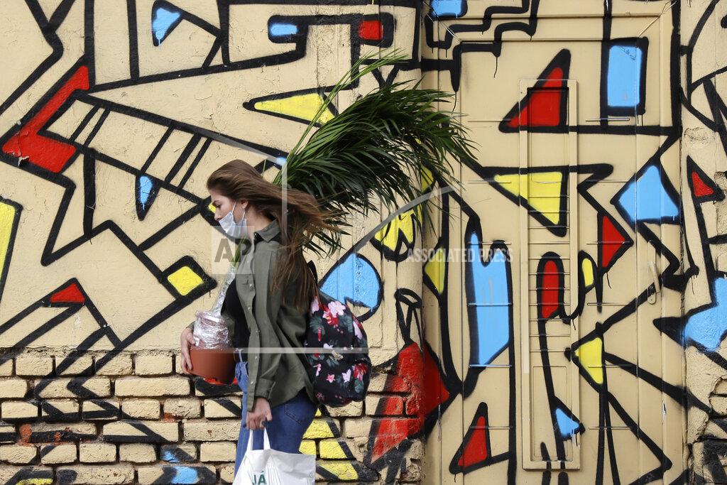 Petr David Josek A woman wearing a face mask to protect from coronavirus, carries a plant in Prague, Czech Republic, Wednesday, Oct. 7, 2020. Coronavirus infections in the Czech Republic hit a new record high, surpassing 4,000 cases in one day for the first time. (AP Photo/Petr David Josek)