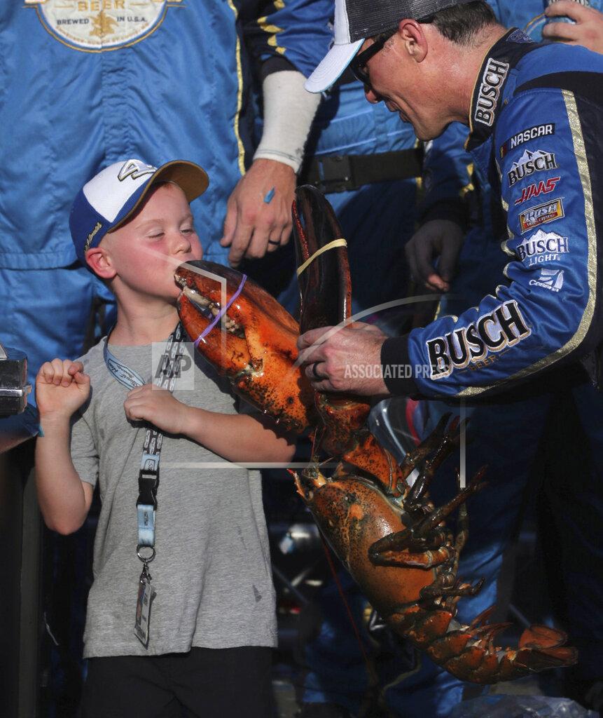 Charles Krupa Kevin Harvick holds a giant lobster as he jokes with his son Keelan, kisses the claw, after winning a NASCAR Cup Series auto race at New Hampshire Motor Speedway in Loudon, N.H., Sunday, July 21, 2019. (AP Photo/Charles Krupa)