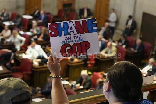 Protest this way, not that way: In statehouses, varied... - Vimarsana News