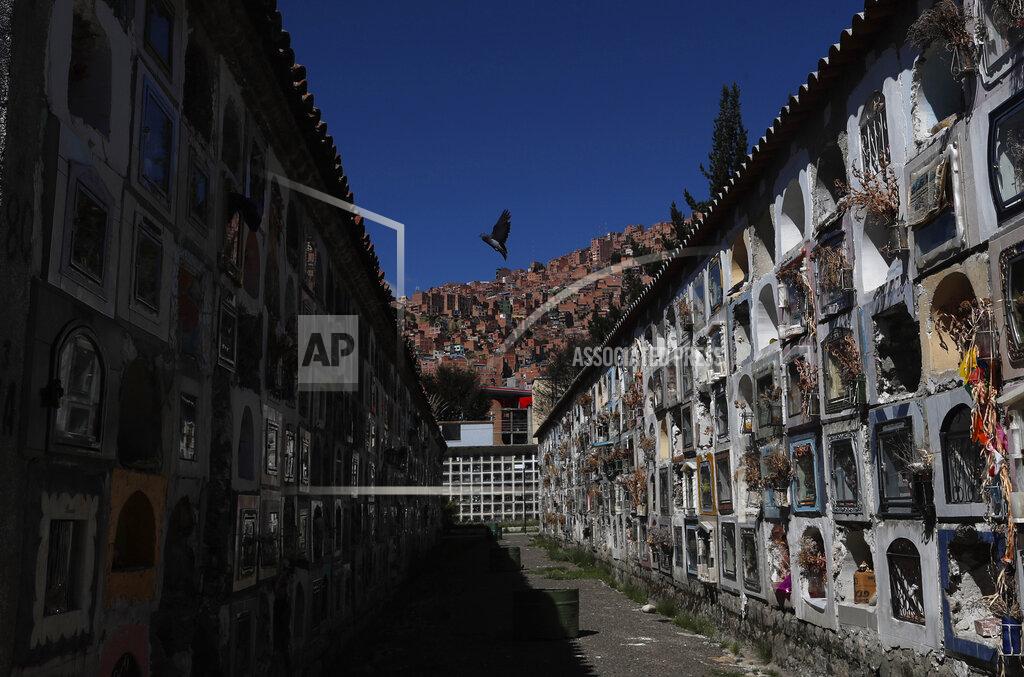 Juan Karita FILE - In this May 18, 2020, file photo, a pigeon flies in the General Cemetery, in La Paz, Bolivia. Even amid a global pandemic, there’s no sign that corruption is slowing down in Latin America. Perhaps the biggest case is in Bolivia, where the health minister was arrested amid allegations that officials bought 170 ventilators at inflated prices. (AP Photo/Juan Karita, File)
