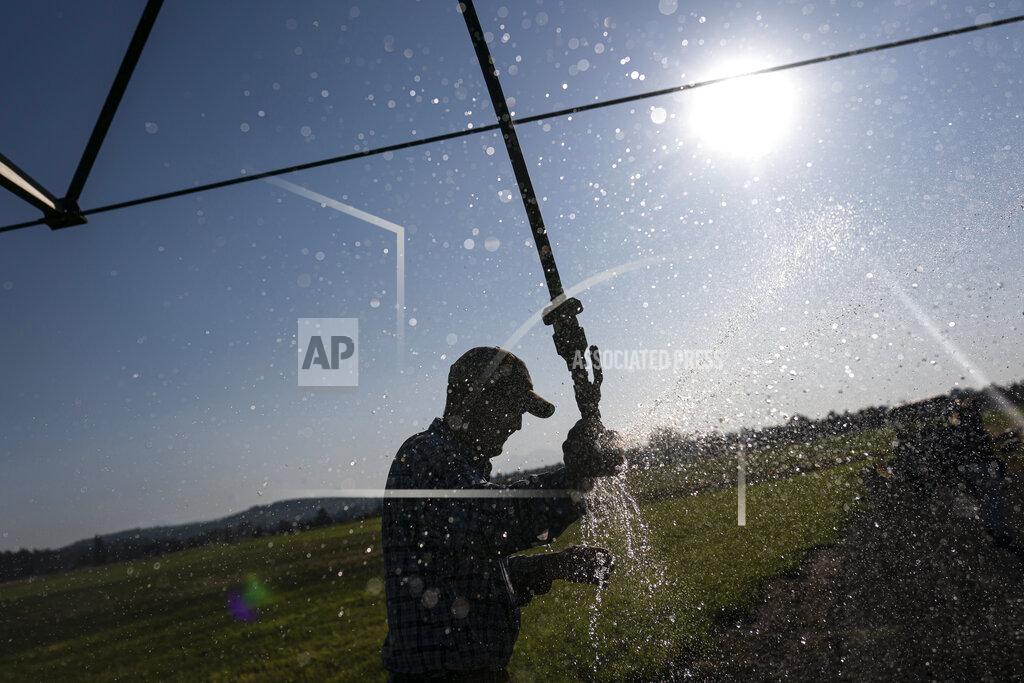 Nathan Howard Matt Lisignoli shuts off an irrigation sprinkler at his farm, Smith Rock Ranch, in the Central Oregon Irrigation District on Tuesday, Aug. 31, 2021, in Terrebonne, Ore. The stark contrast between the water haves and have-nots two hours southeast of Portland has brought new urgency to efforts to share the resource. Proposals to create "water banks" or "water markets" would allow farmers with excess water to "lease" it to those in need. (AP Photo/Nathan Howard)