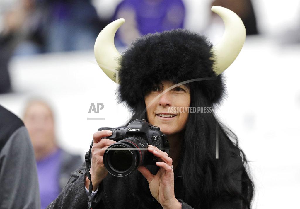 Ted S. Warren A Colorado fan wears a buffalo hat as she takes photos before an NCAA college football game against Washington, Saturday, Oct. 20, 2018, in Seattle. (AP Photo/Ted S. Warren)