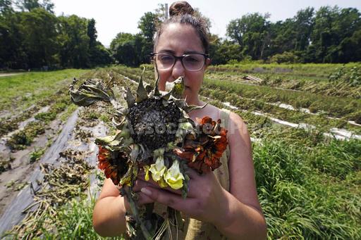 Northeast floods devastate 'heartbroken' farmers as mon... - Vimarsana News