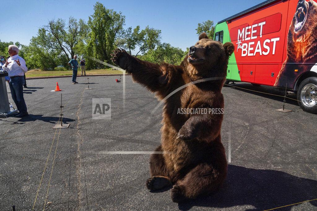 Renée C. Byer John Cox, far left, begins his recall campaign for California governor with "Tag," a Kodiak brown bear, on Tuesday, May 4, 2021 in Sacramento. It was the first stop for his "Meet the Beast" bus tour. (Renee C. Byer/The Sacramento Bee via AP)