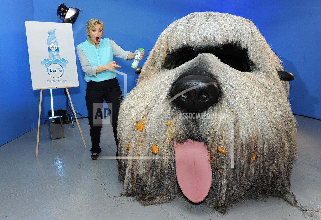 febreze dog car