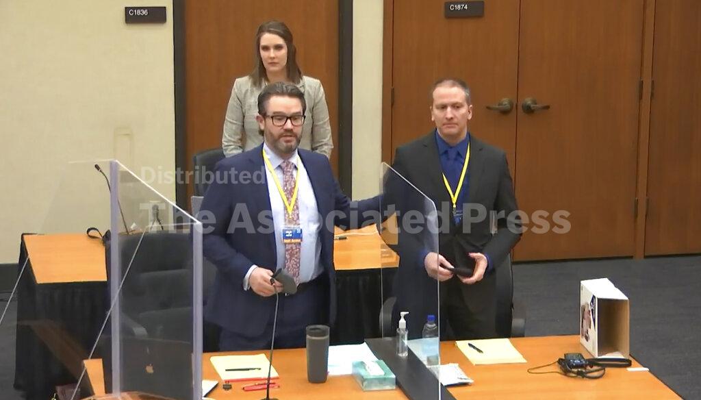 The 15 jurors selected for the trial of Derek Chauvin