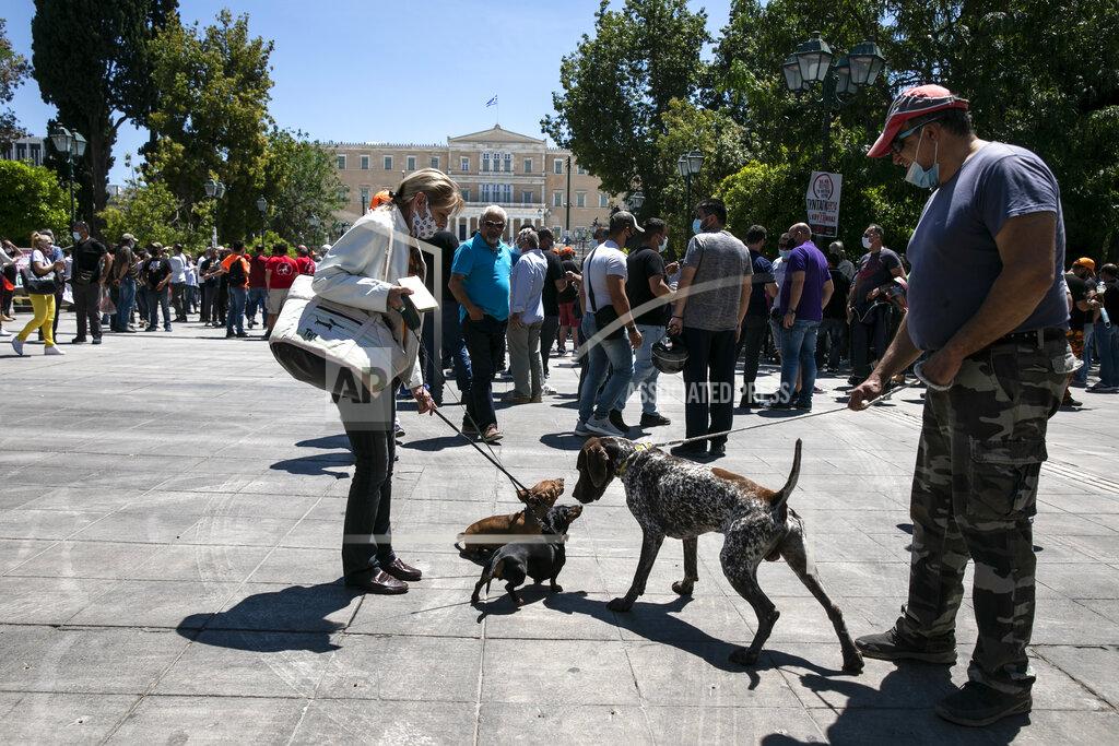 Yorgos Karahalis Dog owners take part in a rally against a proposed law by the government related to household pets, at Syntagma square, in Athens, Sunday, May 23, 2021. Several hundred dog owners, most of them also hunters, and their pets, protested outside the Greek Parliament Sunday against a new law, still at the consultation stage, that mandates sterilization of household pets. (AP Photo/Yorgos Karahalis)