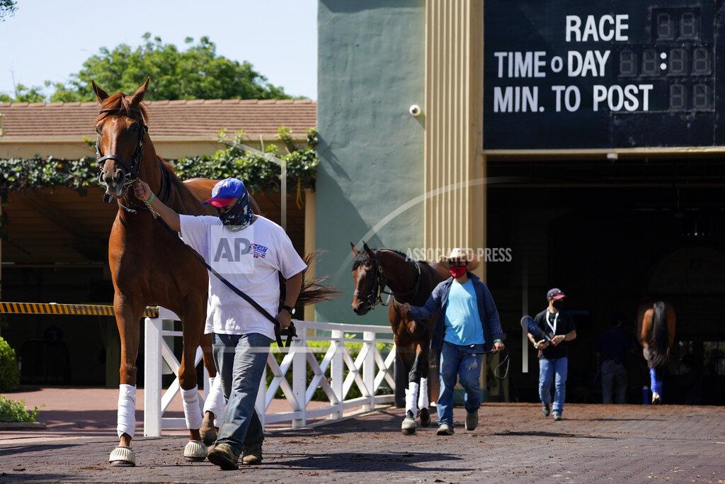 Ashley Landis In this Friday, May 22, 2020, photo, grooms wearing face masks lead horses to track at Santa Anita Park in Arcadia, Calif. Horse racing returned to the track after being idled for one and a half months because of public health officials' concerns about the coronavirus pandemic. (AP Photo/Ashley Landis)