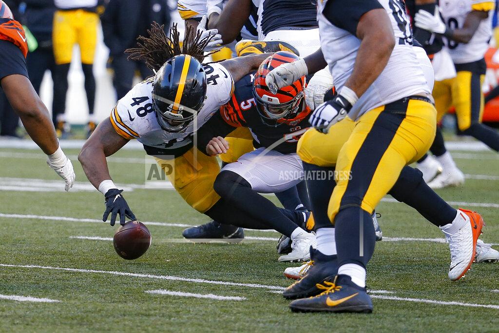 Frank Victores Pittsburgh Steelers outside linebacker Bud Dupree (48) forces a fumble the fumble off Cincinnati Bengals quarterback Ryan Finley (5) before recovering the ball for a turnover during the second half an NFL football game, Sunday, Nov. 24, 2019, in Cincinnati. (AP Photo/Frank Victores)