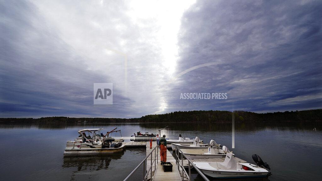 Charles Krupa An oysterman drags a tray of adult "Uglie" oysters from Maine to awaiting oyster boats at Great Bay, Monday, May 3, 2021, in Durham, N.H. Thousands of Uglies from Maine, which were left to grow due to lack of retail demand of more than a year because of the virus outbreak, were relocated to Great Bay to enhance the shellfish species in New Hampshire coastal waters. (AP Photo/Charles Krupa)