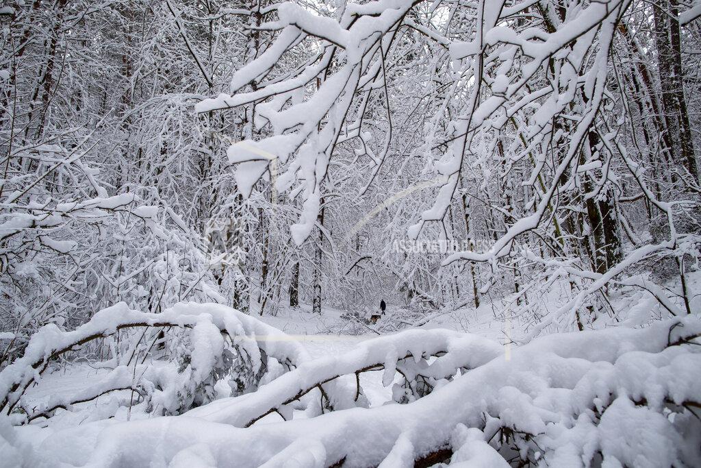Lithuania Weather | Buy Photos | AP Images | DetailView