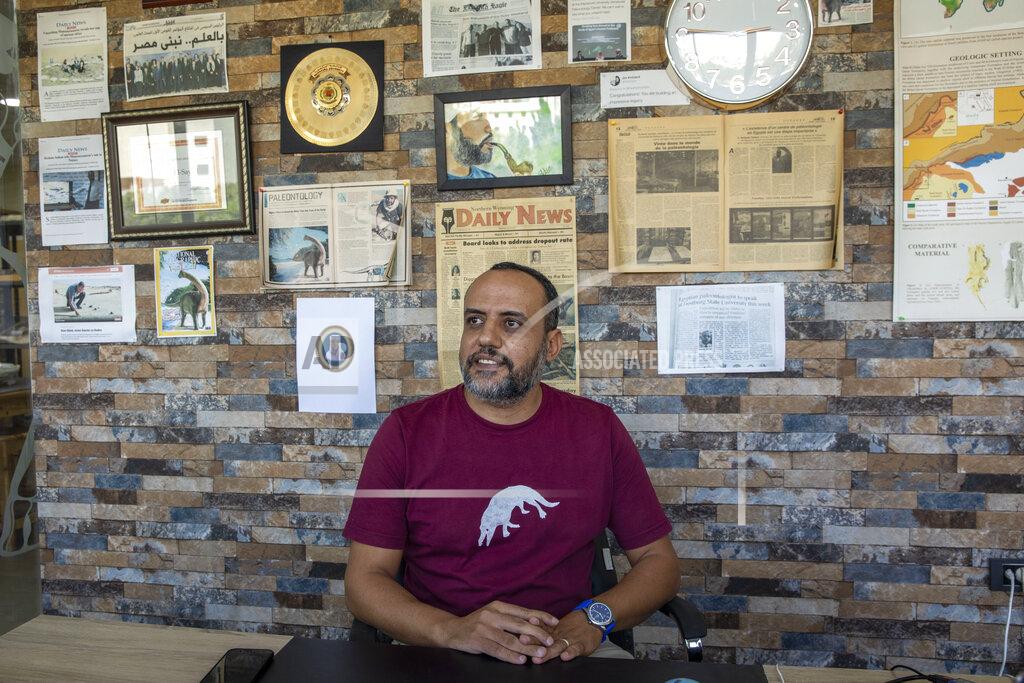 Nariman El-Mofty Egyptian Professor and founder of Vertebrate Paleontology Center at Mansoura University and American University of Cairo, Prof. Hesham Sallam, speaks about the discovery of a 43 million-year-old four-legged prehistoric whale known as the "Phiomicetus Anubis," in an evolution of whales from land to sea, which was unearthed over a decade ago in Fayoum in the Western Desert of Egypt, at the university's paleontology department lab, in the Nile Delta city of Mansoura, 110 kilometers (70 miles) north of Cairo, Egypt, Sunday, Sept. 12, 2021. (AP Photo/Nariman El-Mofty)