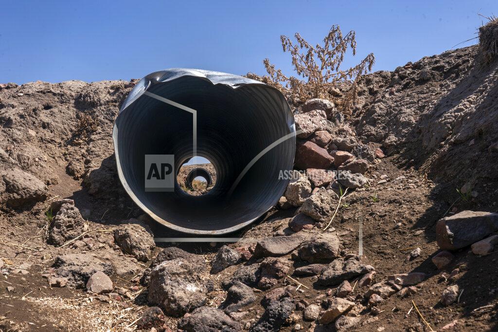 Nathan Howard Weeds grow along a dry irrigation ditch in the North Unit Irrigation District on Tuesday, Aug. 31, 2021, near Madras, Ore. Cracked dirt lines empty irrigation canals, and dust devils and tumbleweeds punctuate a landscape in shades of brown. (AP Photo/Nathan Howard)