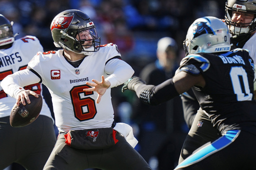 Buccaneers clinch NFC South title with 9-0 win over Panthers - Vimarsana News