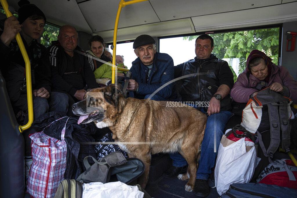 Evgeniy Maloletka People with a dog ride in the bus during evacuation near Lyman, Ukraine, Wednesday, May 11, 2022. (AP Photo/Evgeniy Maloletka)