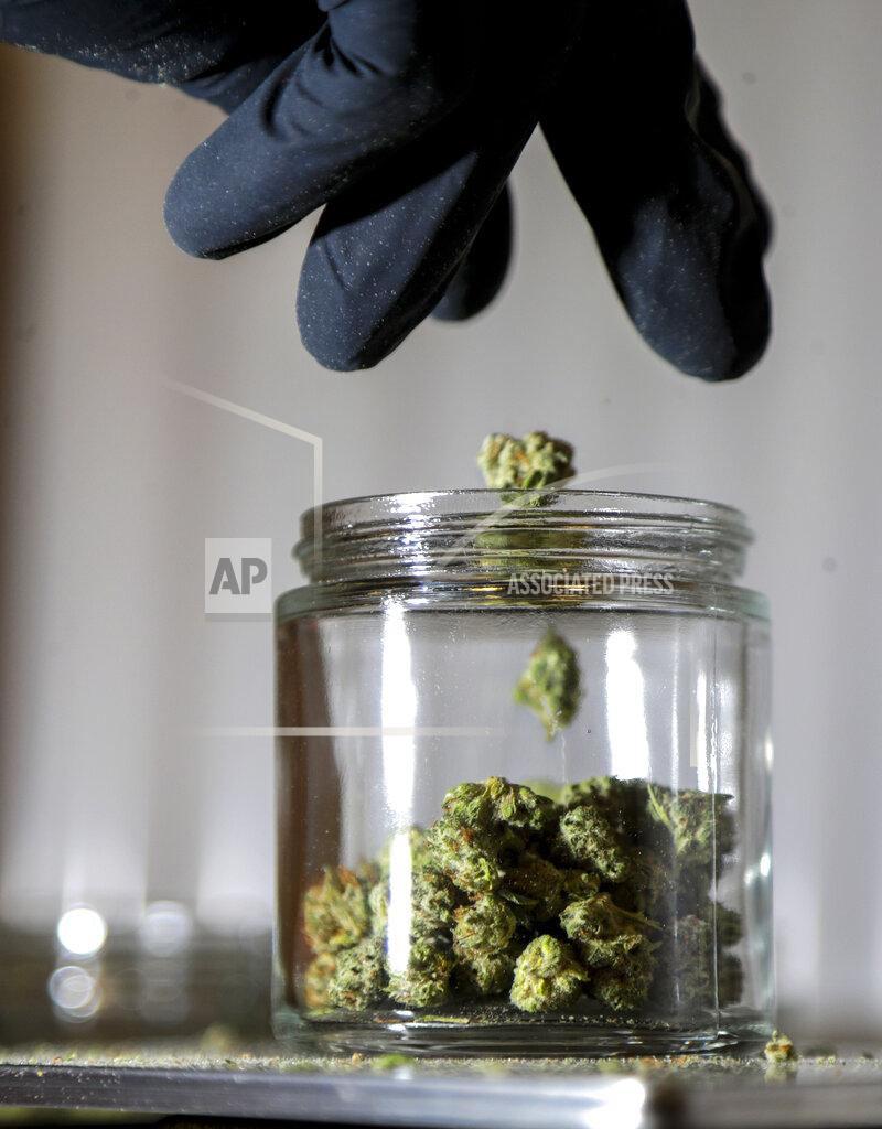 FILE - In this March 22, 2019, file photo, marijuana buds are sorted into a prescription jar at Compassionate Care Foundation's medical marijuana dispensary in Egg Harbor Township, N.J. A New Jersey Assembly voting session that had been scheduled for Monday, Nov. 23, 2020, that was to include a measure setting up the new recreational marijuana market has been canceled, Assembly Speaker Speaker Craig Coughlin said Friday, Nov. 20. (AP Photo/Julio Cortez, File)