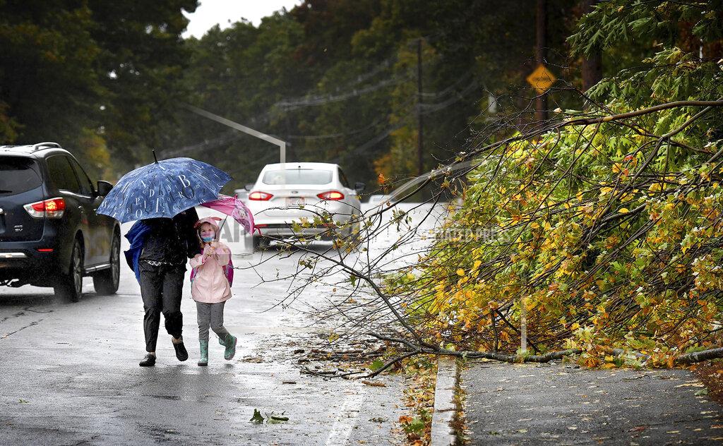 Mark Stockwell Halina Szlakowitz walks her granddaughter Olivia Staton, 5, to the Martin Elementary School sidestepping some downed tree limbs on the sidewalk in North Attleboro, Mass. Wednesday, Oct. 27, 2021. A nor'easter rain and wind storm blanketed the region overnight Tuesday into Wednesday. (Mark Stockwell/The Sun Chronicle via AP)