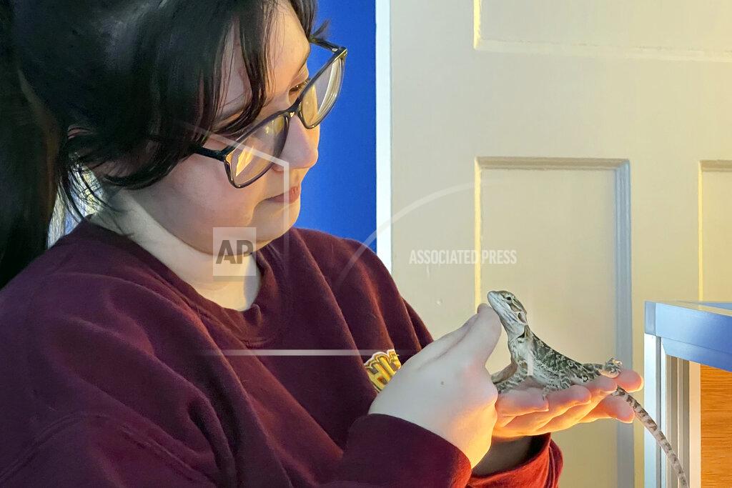 Carolyn Thompson Angelina Mistretta, a 16-year-old junior at City Honors High School holds her pet bearded dragon Kaida, at home in Buffalo, N.Y., Feb. 17, 2021. When in-person school stopped, the expectations that come with attending the school did not. On the 16-year-old junior’s schedule this year are International Baccalaureate literature, AP history, Algebra 2, an IB French class and an IB biology class. (AP Photo/Carolyn Thompson)
