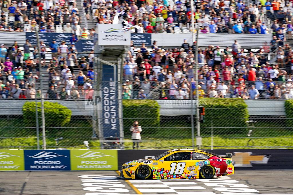 Matt Slocum Kyle Busch (18) takes the checker flag to win the NASCAR Cup Series auto race at Pocono Raceway, Sunday, June 27, 2021, in Long Pond, Pa. (AP Photo/Matt Slocum)