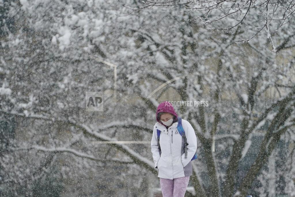 Matt Slocum A woman walks through the snow during a winter storm, Sunday, Feb. 7, 2021, in Villanova, Pa. (AP Photo/Matt Slocum)