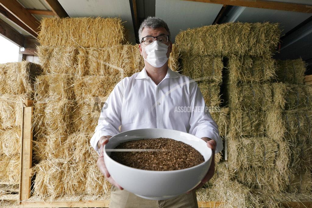Ted S. Warren Micah Truman, CEO of Return Home, a company that composts human remains into soil, poses for a photo, Wednesday, Sept. 15, 2021, in Auburn, Wash., south of Seattle. Truman is holding a container of soil made with animal remains that is used to show what the product of their process looks like. Behind him are bales of straw, which is used in the two-month composing process. Earlier in September, Colorado became the second state after Washington to allow human body composting, and Oregon will allow the practice beginning next July. (AP Photo/Ted S. Warren)