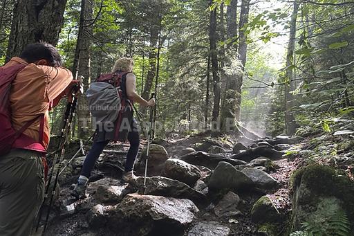 Hiker's parents are retracing her final steps to raise... - Vimarsana News