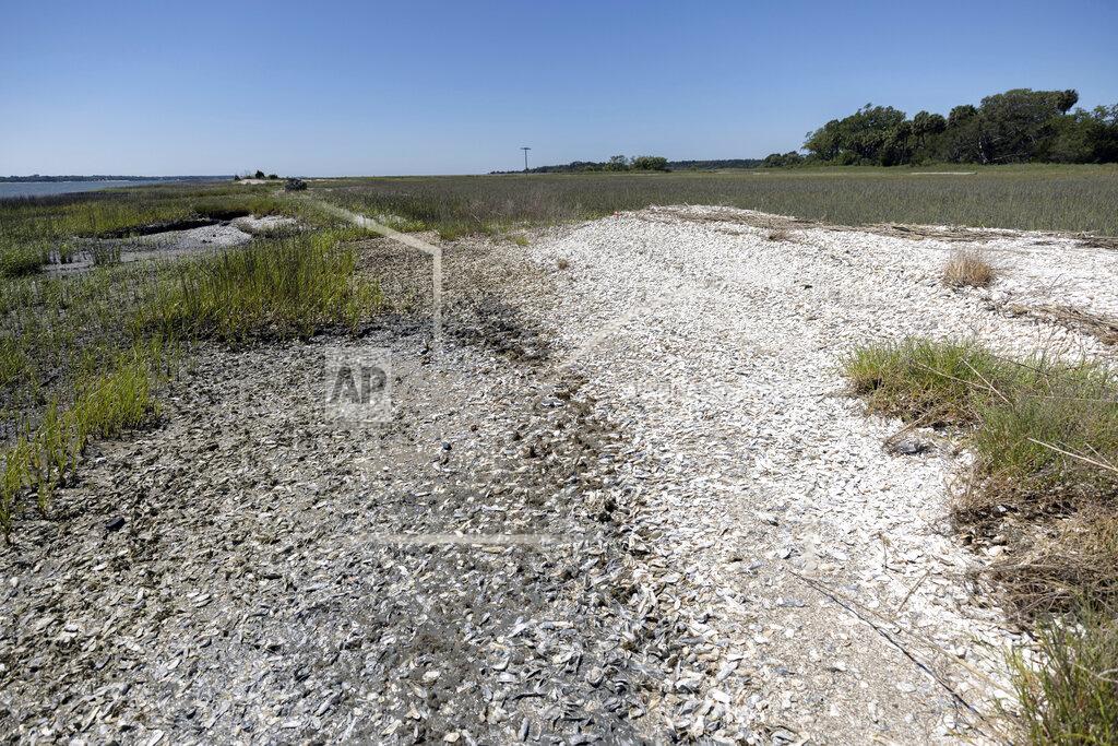 Stephen B. Morton Natural occurring oyster reefs and salt marshes surrounding much of the Marine Corps Recruiting Depot, Wednesday, May 11, 2022, in Parris Island, S.C. The base has been working with environmental groups to secure funding for living shoreline projects, building up oyster reefs along the coast to strengthen the salt marsh that acts as a buffer to floods and hurricanes. (AP Photo/Stephen B. Morton)
