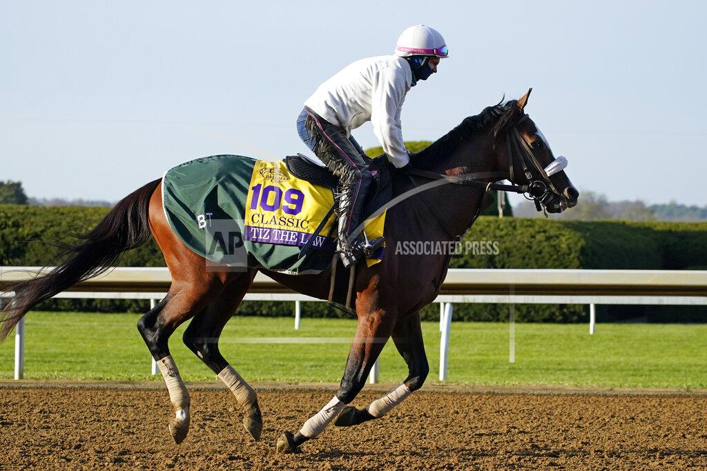 Mark Humphrey Belmont Stakes winner Tiz the Law is taken for a workout at the Breeders' Cup World Championship horse races at Keeneland Race Course Thursday, Nov. 5, 2020, in Lexington, Ky. Tiz the Law is scheduled to run in the Breeders' Cup Classic race Saturday. (AP Photo/Mark Humphrey)