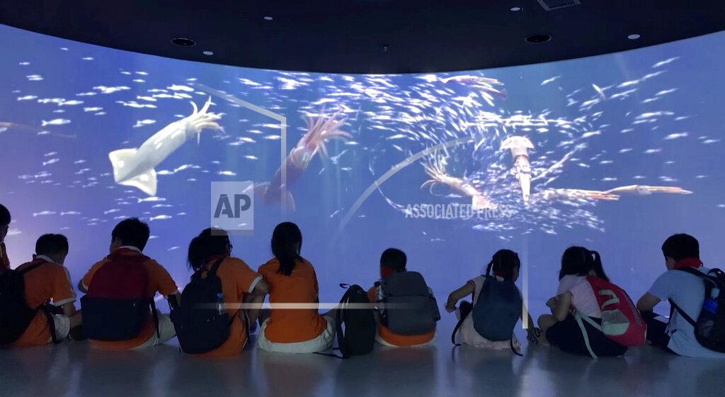 Uncredited Children watch a multimedia display at the Squid Museum which opened in April 2021 in the eastern Chinese city of Zhoushan. The 2,600-square meter museum showcases information regarding the evolution of squid, squid fishing and processing. The eastern city of Zhoushan is home to China’s largest distant water fleet. (AP Photo)