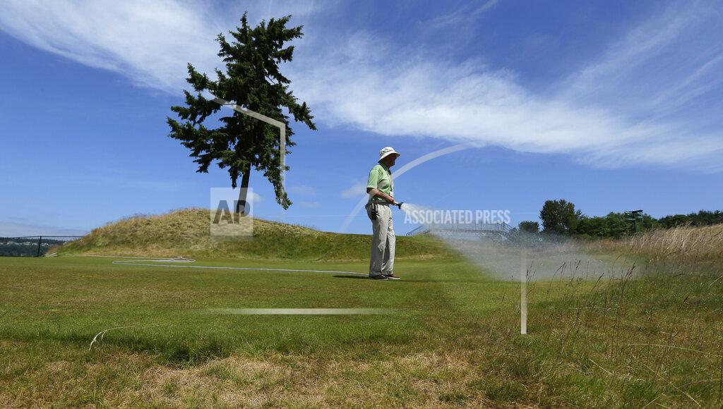 Ted S. Warren FILE - Bruce Murray, a greenskeeper at Chambers Bay golf course, waters the 16th tee next to the course's signature lone fir tree, Thursday, June 11, 2015, in University Place, Wash., a week before hosting the U.S. Open golf tournament. The sight of fountains, swimming pools, gardens and golf courses in Western cities like Phoenix, Los Angeles, Las Vegas, San Diego and Albuquerque can seem jarring with drought and climate change tightening their grip on the region. But Western water experts say they aren’t necessarily cause for concern. Many Western cities over the past three decades have diversified their water sources, boosted local supplies, and use water more efficiently now than in the past. (AP Photo/Ted S. Warren, File)