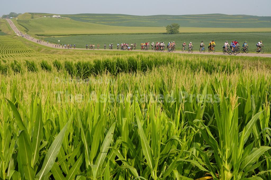 World's biggest recreational bike ride begins anew for golden anniversary trek across Iowa - Vimarsana News