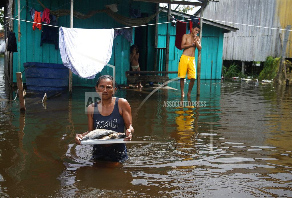 Edmar Barros Edileuza Pereira da Silva carries a plate with fish for cooking outside her home, flooded by the rise of the Negro river in Iranduba, Amazonas state, Brazil, Monday, May 23, 2022. The Amazon region is being hit hard by flooding with 35 municipalities that are facing one of their worst floods in years and the water level is expected to rise over the coming months. (AP Photo/Edmar Barros)