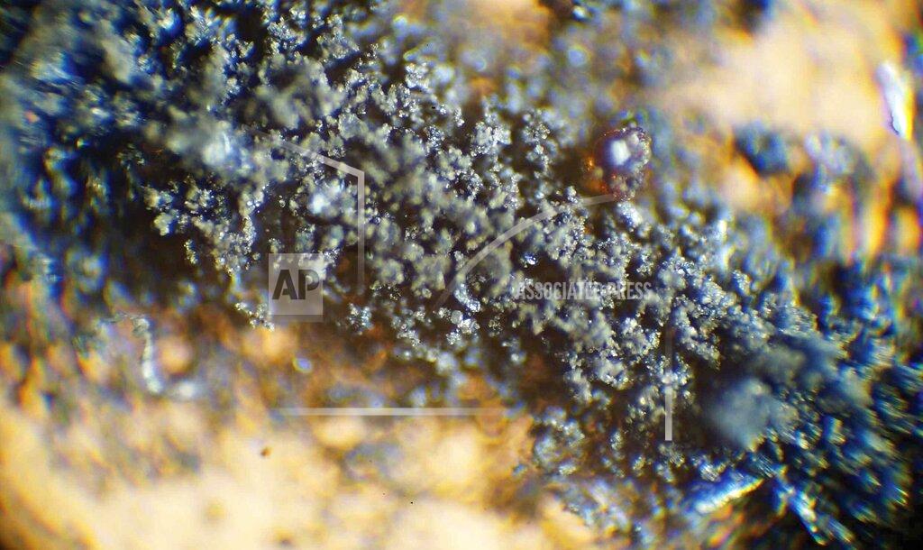 Lawrence Mcglynn/Rr Auction Via Ap This April 2022 handout photograph provided by RR Auction shows moon dust from the 1969 Apollo 11 mission, which was pulled from an auction listing after NASA said the dust, and some cockroaches that were fed the dust, are property of the federal government. (Lawrence McGlynn/RR Auction photo via AP)