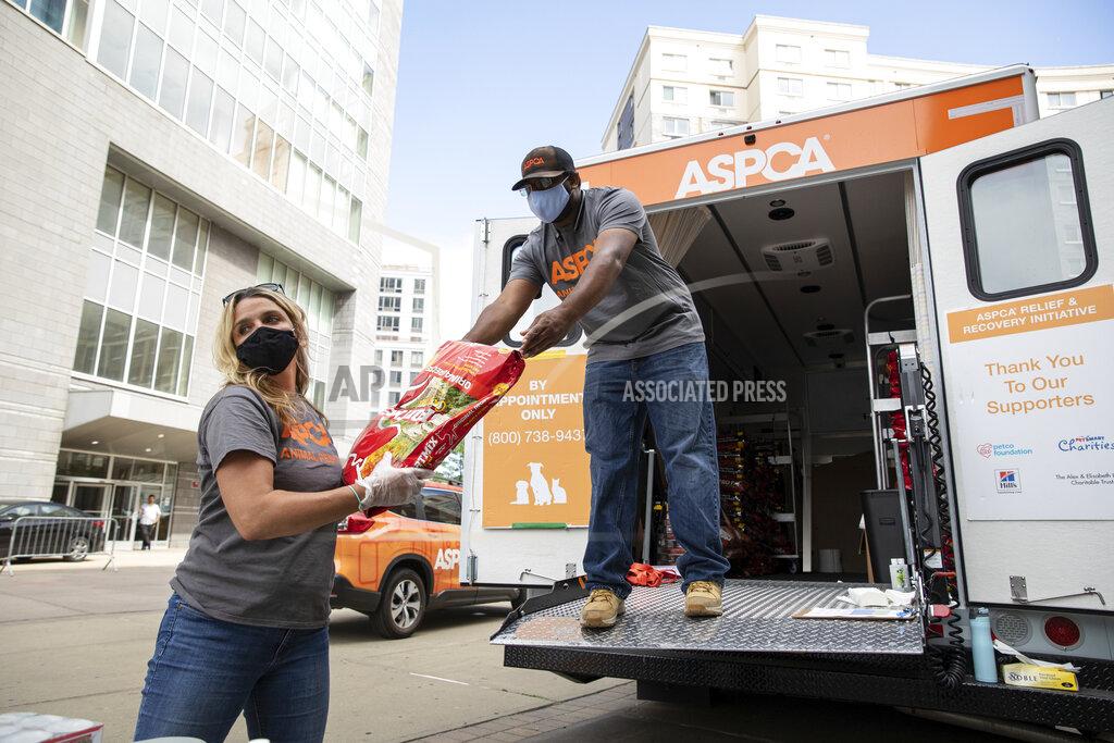 This June 25, 2020 photo shows an APSCA pet food distribution point in the Bronx borough of New York. Animal welfare organizations are increasing their efforts to help people affected financially by the pandemic care for their pets. (Dustin Brown/ASPCA via AP)