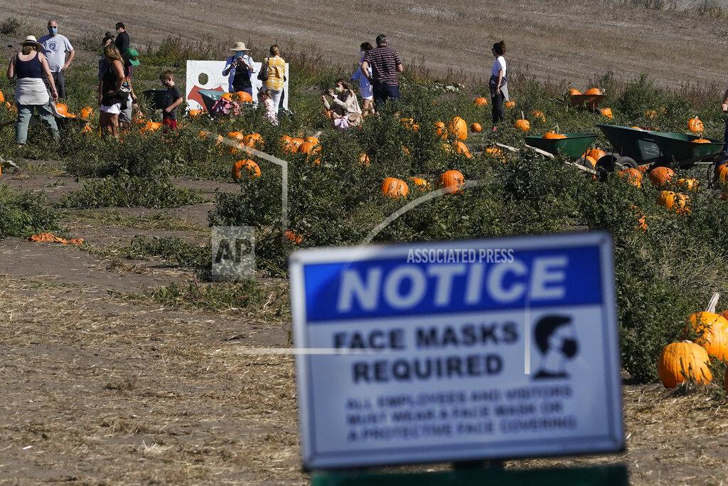 Jeff Chiu FILE - In this Oct. 12, 2020, file photo, a sign advising face masks being required is posted as people walk inside Bob's Pumpkin Patch in Half Moon Bay, Calif. Gov. Gavin Newsom says California is slipping with an "obviously sobering" increase in coronavirus cases that may be partially linked to Halloween. He spoke Monday, Nov. 9, 2020, in Sacramento, California, as 11 San Francisco Bay Area health officers urged residents there to quarantine for two weeks if they venture outside the region. (AP Photo/Jeff Chiu, File)
