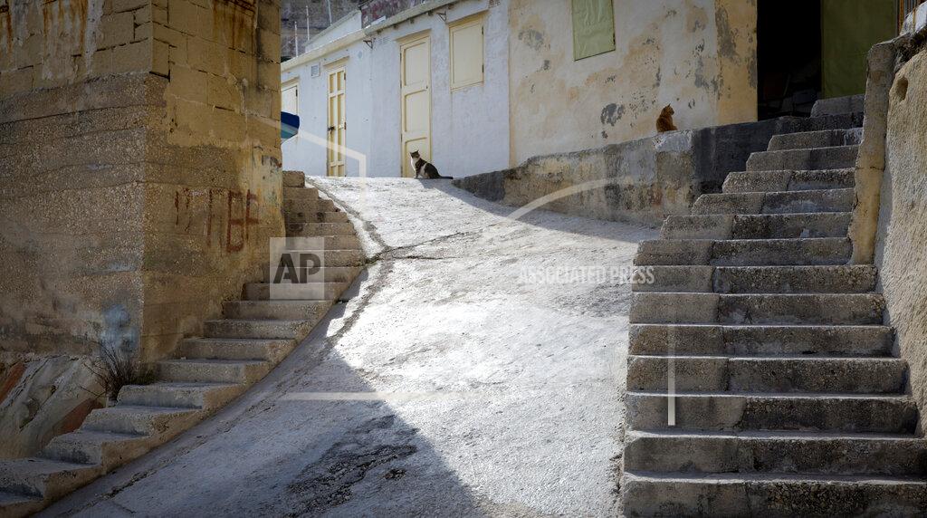 FILE - In this Thursday, Feb. 2, 2017 file photo, two cats sit at the top of the stairway in the middle of a small fisherman's landing in Valletta, Malta. The EU on Thursday, Nov. 28, 2019, said it guarantees the right of domestic cats to roam free, even if they can be a threat to birds. (AP Photo/Virginia Mayo, File)