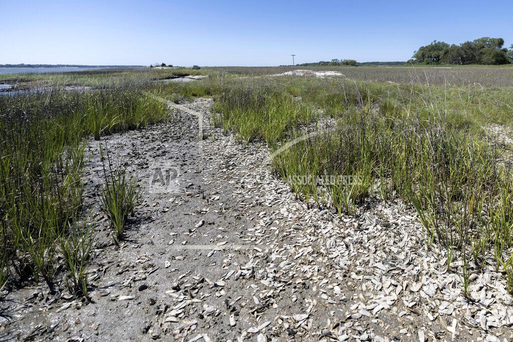 Stephen B. Morton Natural occurring oyster reefs and salt marshes surrounding much of the Marine Corps Recruiting Depot, Wednesday, May 11, 2022, in Parris Island, S.C. The base has been working with environmental groups to secure funding for living shoreline projects, building up oyster reefs along the coast to strengthen the salt marsh that acts as a buffer to floods and hurricanes. (AP Photo/Stephen B. Morton)