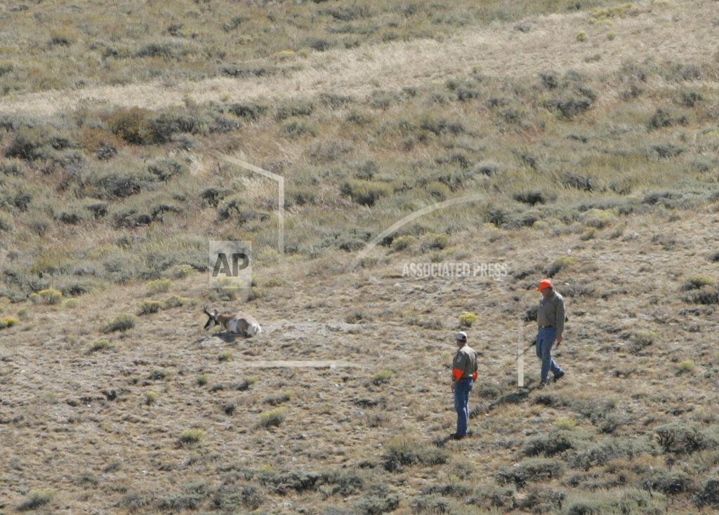 FILE - In this Sept. 15, 2007, file photo former Wyoming Gov. Dave Freudenthal, right, and guide Tom Scarlett walk to an antelope shot by the governor during the One Shot Antelope Hunt in Lander, Wyo. The coronavirus has canceled the charity antelope hunt that has drawn teams of famous, wealthy and powerful men to central Wyoming for over 75 years and growing criticism that ceremonies tied to the event crudely and inaccurately depict Native American culture. (AP Photo/Ed Andrieski, File)