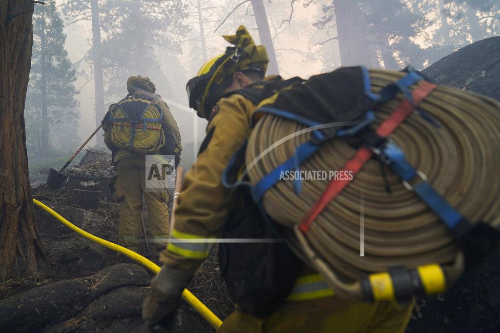 Jae C. Hong Two firefighters from Cosumnes Fire Department carry water hoses while holding a fire line to keep the Caldor Fire from spreading in South Lake Tahoe, Calif., Friday, Sept. 3, 2021. Fire crews took advantage of decreasing winds to battle a California wildfire near popular Lake Tahoe and were even able to allow some people back to their homes but dry weather and a weekend warming trend meant the battle was far from over. (AP Photo/Jae C. Hong)