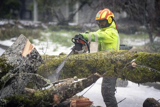 Icy blast gripping US blamed for 14 deaths in Tennessee... - Vimarsana News