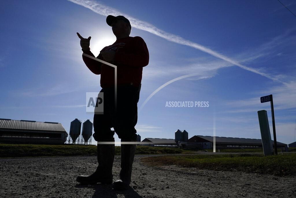 Charlie Neibergall Jasper County Republican Party chairman Thad Nearmyer stands on his farm, Thursday, Nov. 19, 2020, near Monroe, Iowa. "It's the Trump factor," Nearmyer said about how Democrats lost House seats. "People were super excited to vote for the president." (AP Photo/Charlie Neibergall)