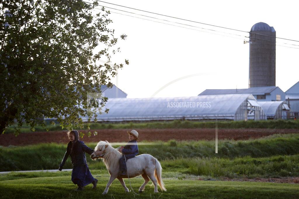 Jessie Wardarski In this Monday, May 4, 2020, photo, two young children of Old Order Stauffer Mennonite Church members play in their front yard in Ephrata, Pa. (AP Photo/Jessie Wardarski)
