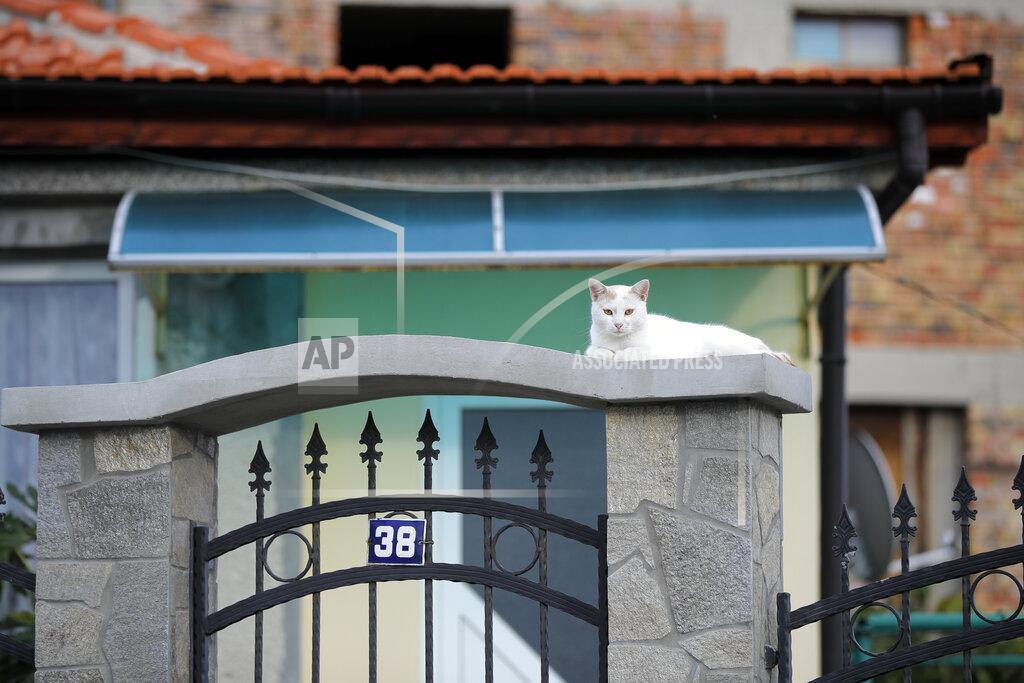 Vadim Ghirda A cat rests on the gate of a house in a village on the outskirts of Burgas, Bulgaria, Monday, Sept. 28, 2020. Human rights activists and experts say local officials in several countries with significant Roma populations have used the pandemic to unlawfully target the minority group, which is Europe's largest and has faced centuries of severe discrimination. In Bulgaria, Roma communities were sprayed with disinfectant from crop dusters this spring as coronavirus cases surged in the country. (AP Photo/Vadim Ghirda)